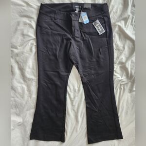 Torrid SlimBoot The Noir Collection 24 Short